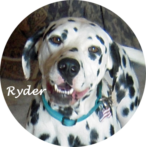 ryderface