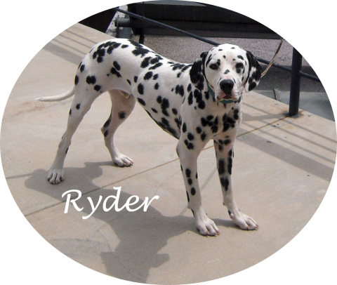 ryderside