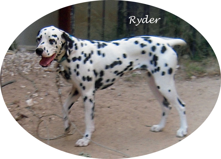 ryderside2