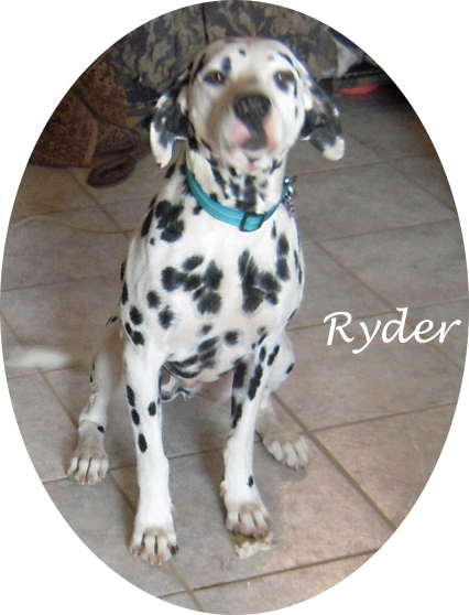 rydersitroom
